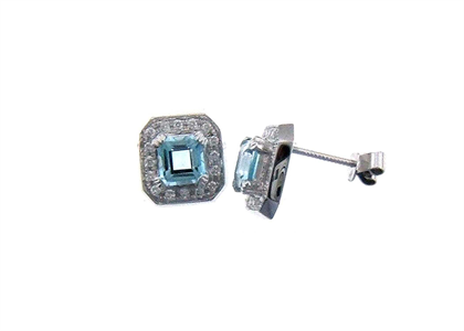 Rhodium Plated CZ Studded Gemstone Stud Earring